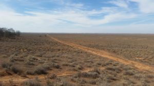Ausgetrockneter Lake Mungo