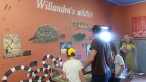 Ausstellung in der Touristeninformation im Lake Mungo NP