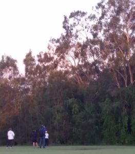 Meine Familie und ich fotografieren die Flughunde