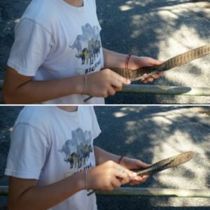 Mein erfundenes Bohneninstrument