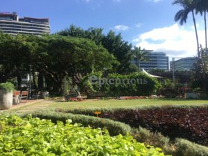 Öffentlicher Garten